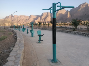 شرکت تولید تجهیزات ورزشی دیاکو 