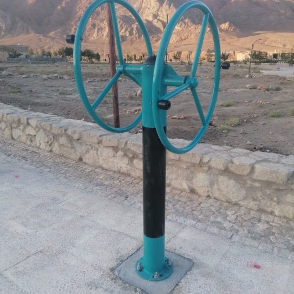 خرید دستگاه دو فرمان چرخش پهلو پارک از شرکت دیاکو