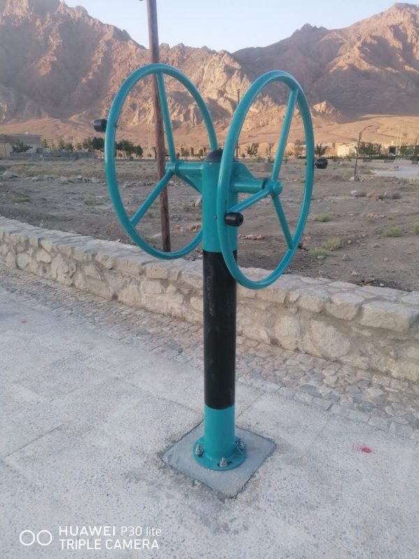 خرید دستگاه دو فرمان چرخش پهلو پارک از شرکت دیاکو