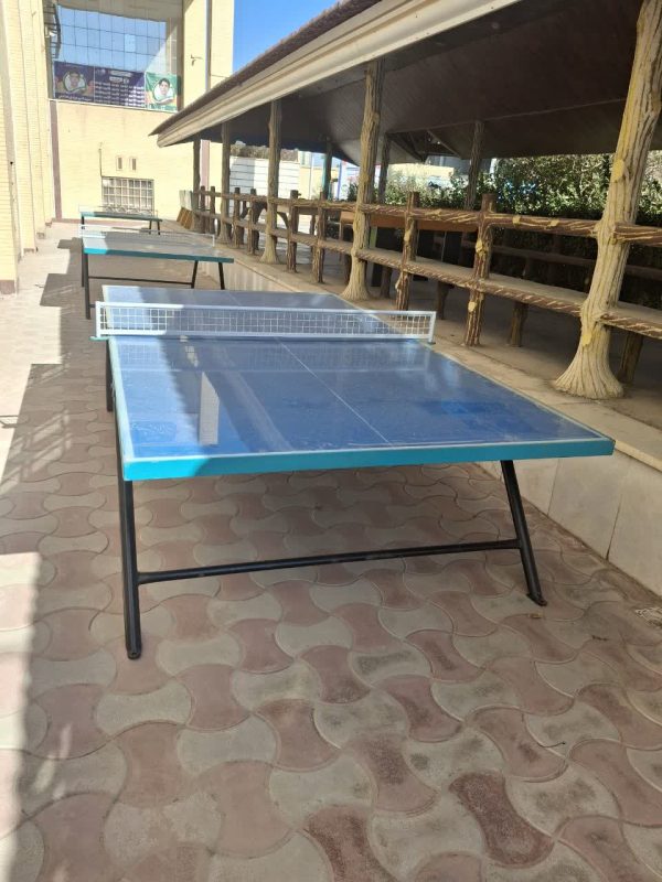 میز پینگ پنگ پارکی